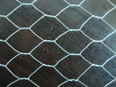 G.I. Hexagonal Wire Netting